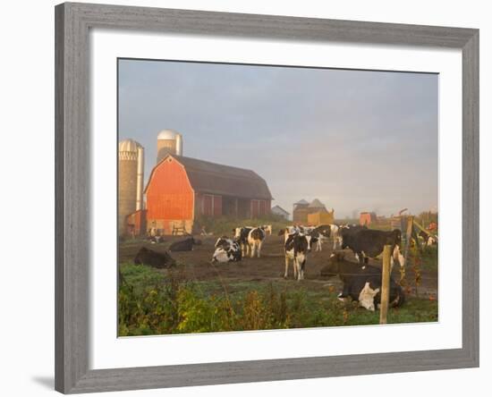 Holstein dairy cows outside a barn, Boyd, Wisconsin, USA-Chuck Haney-Framed Photographic Print