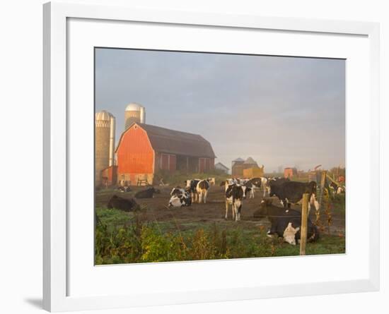 Holstein dairy cows outside a barn, Boyd, Wisconsin, USA-Chuck Haney-Framed Photographic Print