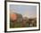 Holstein dairy cows outside a barn, Boyd, Wisconsin, USA-Chuck Haney-Framed Photographic Print