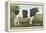 Holstein-Freisian Bull-null-Framed Stretched Canvas