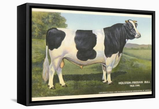 Holstein-Freisian Bull-null-Framed Stretched Canvas