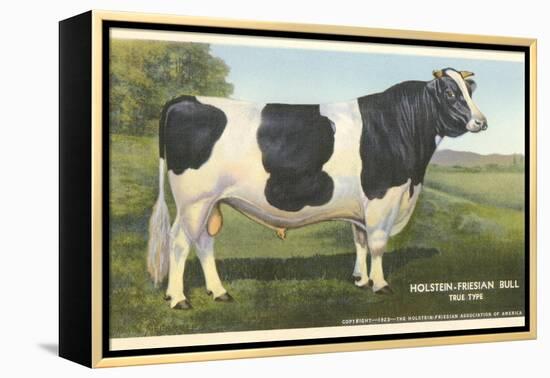 Holstein-Freisian Bull-null-Framed Stretched Canvas