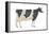 Holstein-Friesian Cow, Dairy Cattle, Mammals-Encyclopaedia Britannica-Framed Stretched Canvas