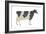 Holstein-Friesian Cow, Dairy Cattle, Mammals-Encyclopaedia Britannica-Framed Art Print