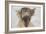 Holy Cow, 2016-Lou Gibbs-Framed Giclee Print