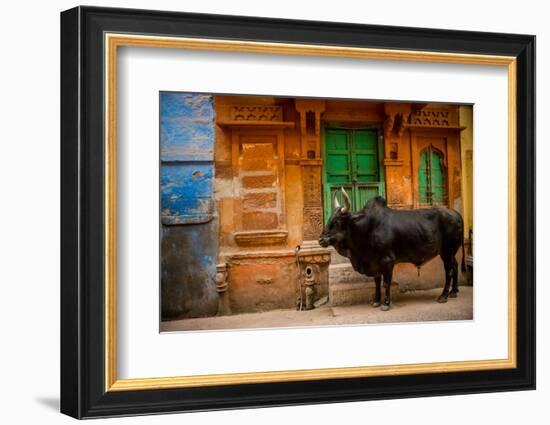 Holy Cow Standing in the Blue Streets of Jodhpur, the Blue City, Rajasthan, India, Asia-Laura Grier-Framed Photographic Print