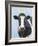 Holy Cow-Fab Funky-Framed Art Print