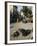 Holy Cows on Streets of Dungarpur, Rajasthan, India-Robert Harding-Framed Photographic Print