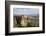 Holy Monastery of St. Stephen, Meteora, Thessaly, Greece-Richard Maschmeyer-Framed Photographic Print