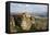 Holy Monastery of St. Stephen, Meteora, Thessaly, Greece-Richard Maschmeyer-Framed Premier Image Canvas