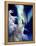 Holy Night-Joh Naito-Framed Premier Image Canvas