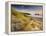 Holywell Bay with Carters Gull Rocks in the Background, Near Newquay, Cornwall, UK, June 2008-Ross Hoddinott-Framed Premier Image Canvas