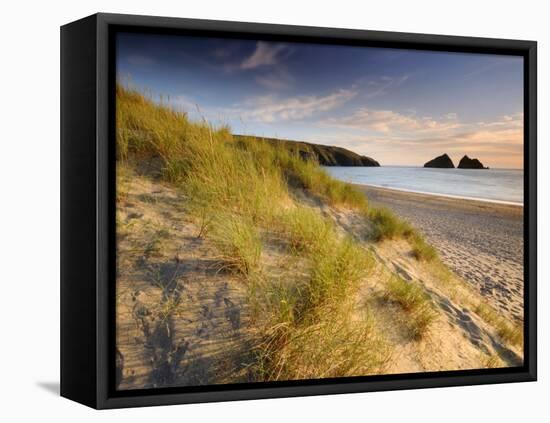 Holywell Bay with Carters Gull Rocks in the Background, Near Newquay, Cornwall, UK, June 2008-Ross Hoddinott-Framed Premier Image Canvas