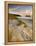 Holywell Bay with Carters Gull Rocks in the Background, Near Newquay, Cornwall, UK, June 2008-Ross Hoddinott-Framed Premier Image Canvas