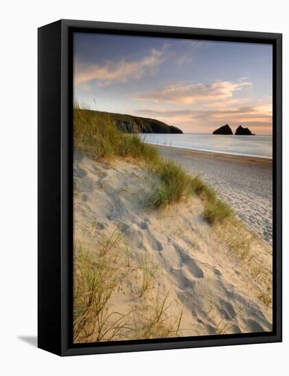 Holywell Bay with Carters Gull Rocks in the Background, Near Newquay, Cornwall, UK, June 2008-Ross Hoddinott-Framed Premier Image Canvas
