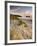 Holywell Bay with Carters Gull Rocks in the Background, Near Newquay, Cornwall, UK, June 2008-Ross Hoddinott-Framed Photographic Print