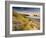 Holywell Bay with Carters Gull Rocks in the Background, Near Newquay, Cornwall, UK, June 2008-Ross Hoddinott-Framed Photographic Print