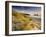 Holywell Bay with Carters Gull Rocks in the Background, Near Newquay, Cornwall, UK, June 2008-Ross Hoddinott-Framed Photographic Print