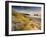 Holywell Bay with Carters Gull Rocks in the Background, Near Newquay, Cornwall, UK, June 2008-Ross Hoddinott-Framed Photographic Print