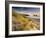 Holywell Bay with Carters Gull Rocks in the Background, Near Newquay, Cornwall, UK, June 2008-Ross Hoddinott-Framed Photographic Print