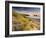 Holywell Bay with Carters Gull Rocks in the Background, Near Newquay, Cornwall, UK, June 2008-Ross Hoddinott-Framed Photographic Print