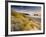 Holywell Bay with Carters Gull Rocks in the Background, Near Newquay, Cornwall, UK, June 2008-Ross Hoddinott-Framed Photographic Print