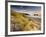 Holywell Bay with Carters Gull Rocks in the Background, Near Newquay, Cornwall, UK, June 2008-Ross Hoddinott-Framed Photographic Print