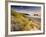 Holywell Bay with Carters Gull Rocks in the Background, Near Newquay, Cornwall, UK, June 2008-Ross Hoddinott-Framed Photographic Print