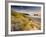 Holywell Bay with Carters Gull Rocks in the Background, Near Newquay, Cornwall, UK, June 2008-Ross Hoddinott-Framed Photographic Print