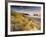 Holywell Bay with Carters Gull Rocks in the Background, Near Newquay, Cornwall, UK, June 2008-Ross Hoddinott-Framed Photographic Print