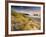 Holywell Bay with Carters Gull Rocks in the Background, Near Newquay, Cornwall, UK, June 2008-Ross Hoddinott-Framed Photographic Print