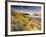 Holywell Bay with Carters Gull Rocks in the Background, Near Newquay, Cornwall, UK, June 2008-Ross Hoddinott-Framed Photographic Print