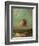 Homage to Goya, circa 1895-Odilon Redon-Framed Giclee Print