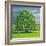 Homage to Horse Chestnut Tree, 2012-Liz Wright-Framed Giclee Print