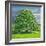 Homage to Horse Chestnut Tree, 2012-Liz Wright-Framed Giclee Print