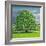 Homage to Horse Chestnut Tree, 2012-Liz Wright-Framed Giclee Print