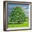 Homage to Horse Chestnut Tree, 2012-Liz Wright-Framed Giclee Print