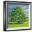 Homage to Horse Chestnut Tree, 2012-Liz Wright-Framed Giclee Print