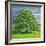 Homage to Horse Chestnut Tree, 2012-Liz Wright-Framed Giclee Print