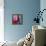 Homage to Matisse 11-John Nolan-Framed Premier Image Canvas displayed on a wall