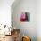 Homage to Matisse 11-John Nolan-Giclee Print displayed on a wall