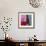 Homage to Matisse 11-John Nolan-Framed Giclee Print displayed on a wall