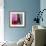 Homage to Matisse 11-John Nolan-Framed Giclee Print displayed on a wall