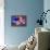Homage to the Hubble-Ursula Abresch-Framed Premier Image Canvas displayed on a wall