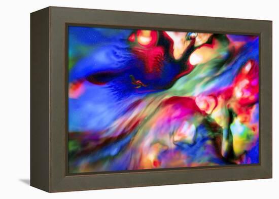 Homage to the Hubble-Ursula Abresch-Framed Premier Image Canvas