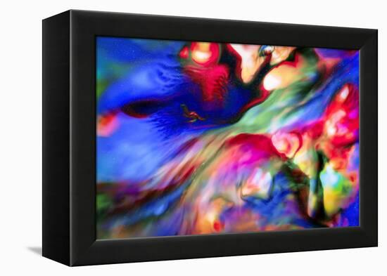 Homage to the Hubble-Ursula Abresch-Framed Premier Image Canvas