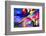 Homage to the Hubble-Ursula Abresch-Framed Photographic Print