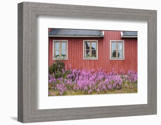 Home Buildings. Sisimiut. Greenland-Tom Norring-Framed Photographic Print