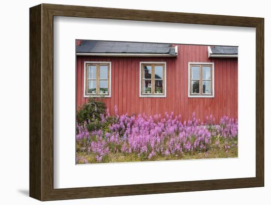 Home Buildings. Sisimiut. Greenland-Tom Norring-Framed Photographic Print