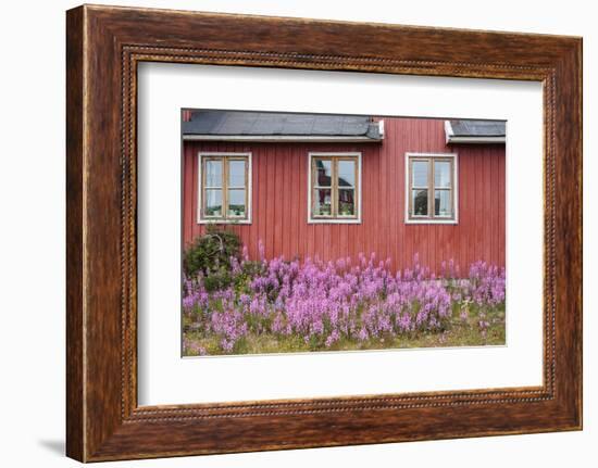 Home Buildings. Sisimiut. Greenland-Tom Norring-Framed Photographic Print